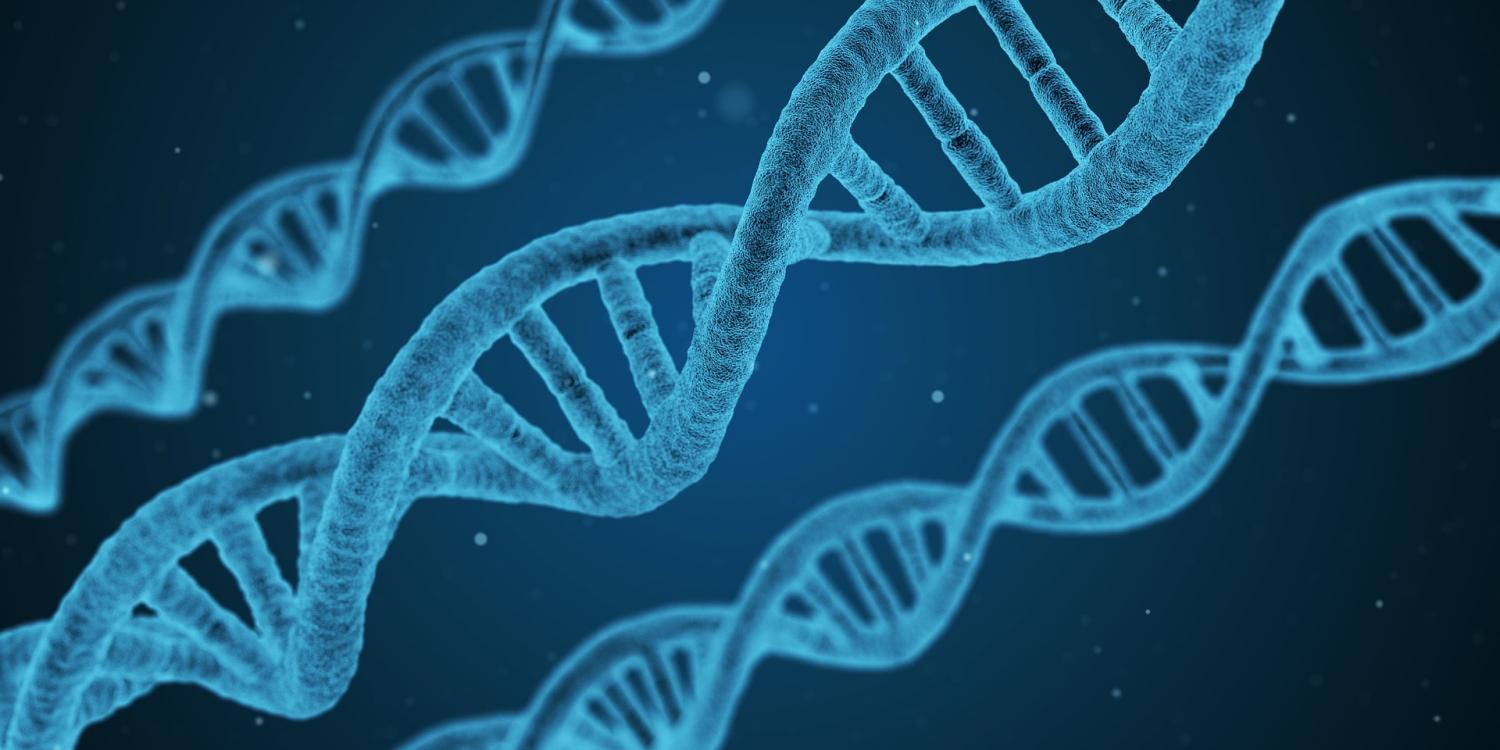 Researchers identify risk genes for amyotrophic lateral sclerosis Researchers identify risk genes for amyotrophic lateral sclerosis